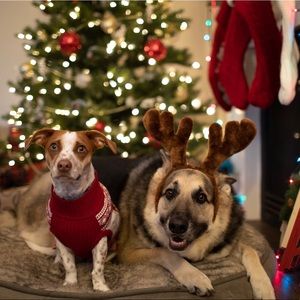 Meet your Posher, Valerie